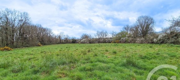  Land in Vendee, France No. 99923 4