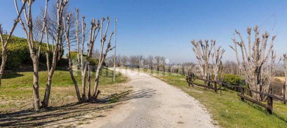 5 rooms Building in Valsamoggia, Italy No. 201121 37