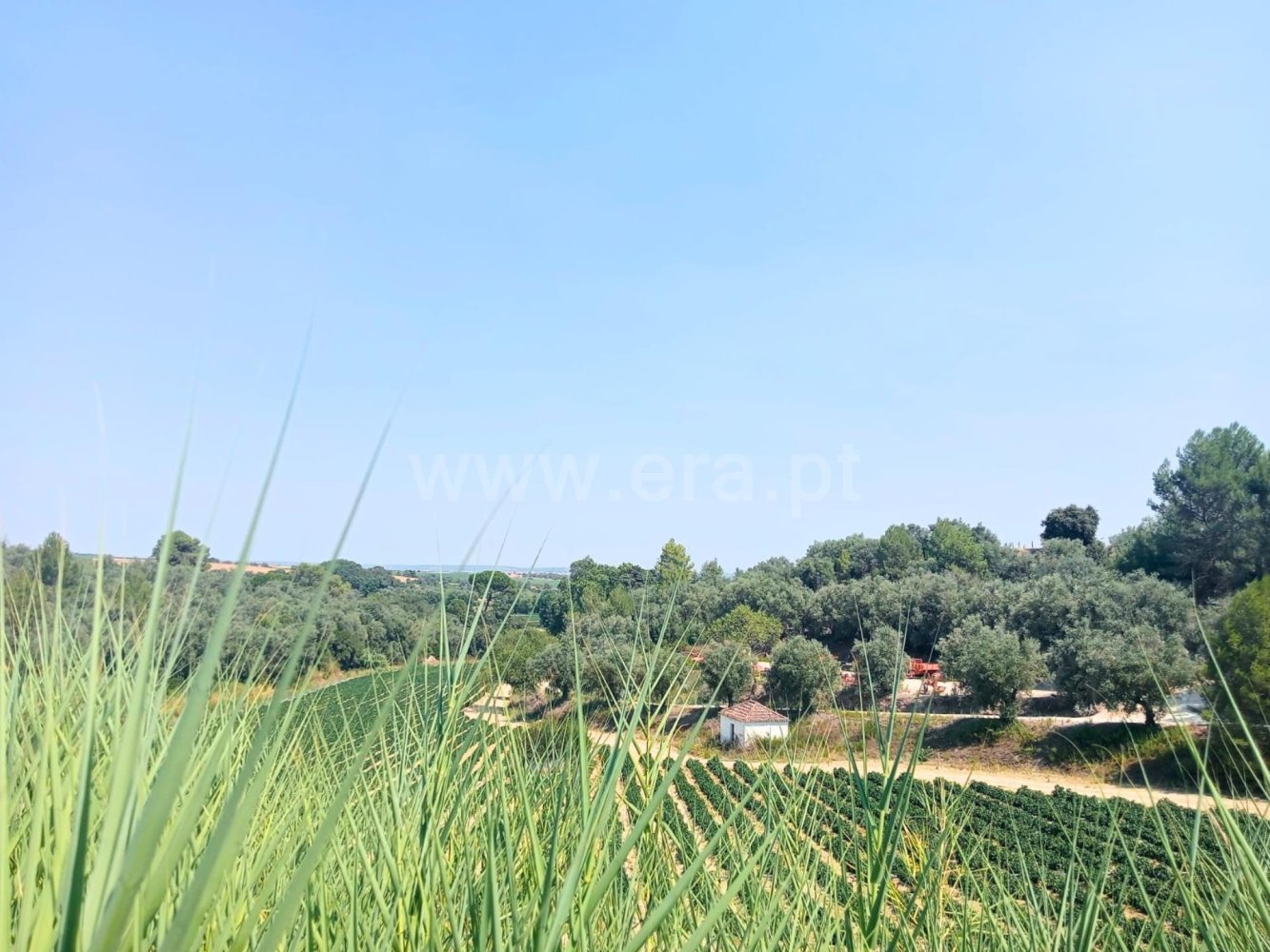 352m² Land in Santarem, Portugal No. 233079