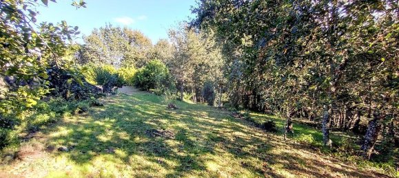 3 bedrooms House in Cabeceiras de Basto, Portugal No. 170018 46