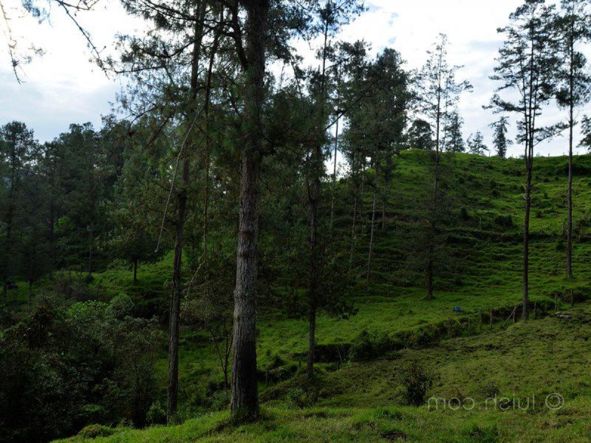  Land in Antioquia, Colombia No. 74