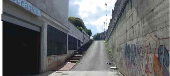 Gewerbliche Immobilie in Marino, Italy 520m², Nr. 203442 53