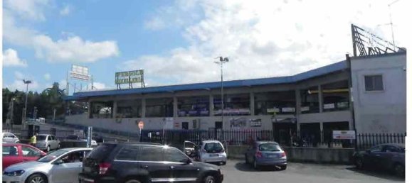 Gewerbliche Immobilie in Marino, Italy 520m², Nr. 203442 18