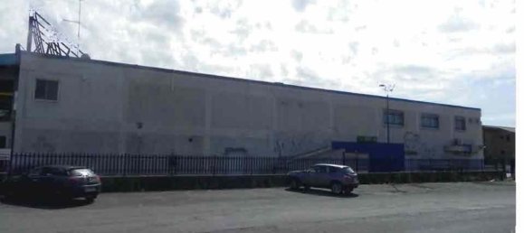 Gewerbliche Immobilie in Marino, Italy 520m², Nr. 203442 19