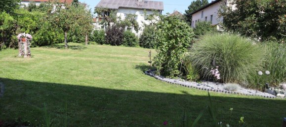 4-salle Maison à Pasching, Austria No. 244068 7