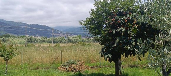 1130m² Land in Lamezia Terme, Italy No. 41419 3