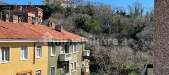 1 chambre Appartement à Trieste, Italy No. 9002 11