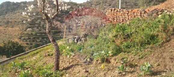 3 bedrooms House in Longroiva, Portugal No. 170837 6