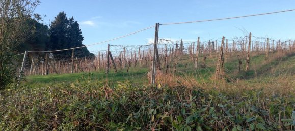 20غرفة منزل في Castelfiorentino, Italy رقم 160626 5