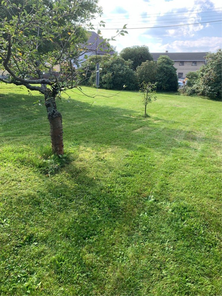 Terreno em Gorlitz, Germany N.º 132335