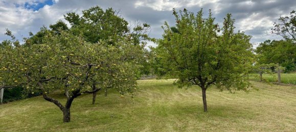 4-Zimmer Haus in Hohenruppersdorf, Austria, Nr. 193639 23