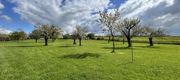 Casa de 7 habitaciónes en Potsdam-Mittelmark, Germany No. 261889 32