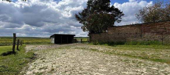 Casa de 7 habitaciónes en Potsdam-Mittelmark, Germany No. 261889 29