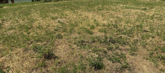  Land in Edelschrott, Austria No. 158648 2