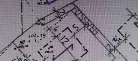  Land in Edelschrott, Austria No. 158648 3