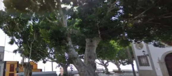 2 bedrooms House in Guia de Isora, Spain No. 139692 3