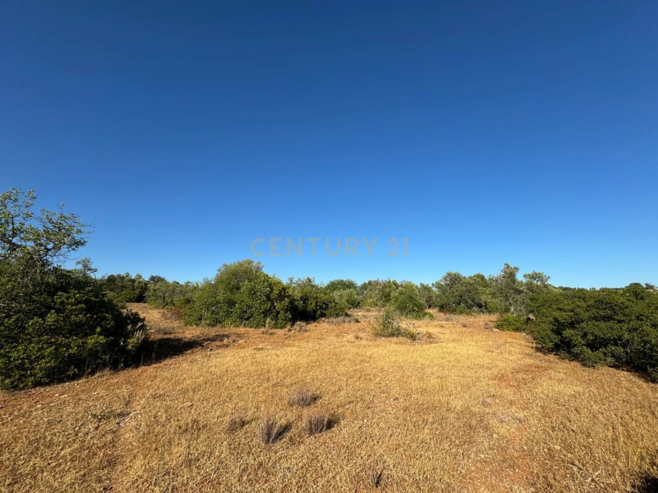 Grundstück in Santa Catarina da Fonte do Bispo, Portugal 10320m², Nr. 38586