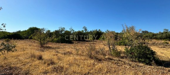 Terreno en Santa Catarina da Fonte do Bispo, Portugal 10320 m² No. 38586 8