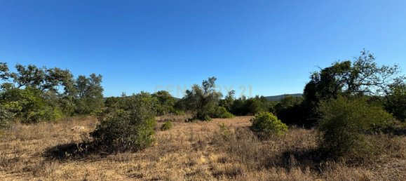 Terreno en Santa Catarina da Fonte do Bispo, Portugal 10320 m² No. 38586 9