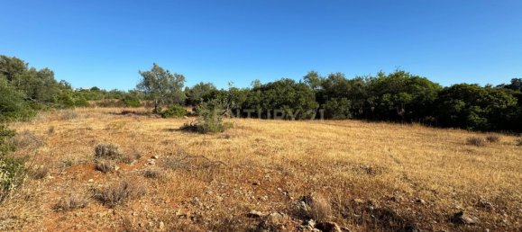 Terreno en Santa Catarina da Fonte do Bispo, Portugal 10320 m² No. 38586 5