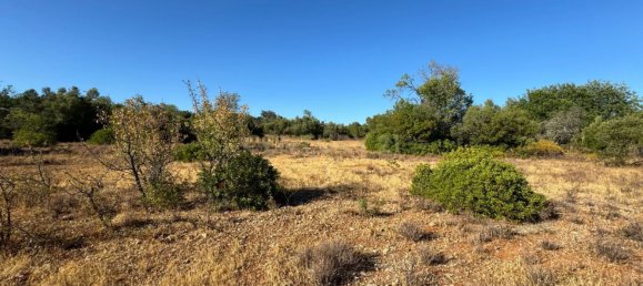 Terreno en Santa Catarina da Fonte do Bispo, Portugal 10320 m² No. 38586 7