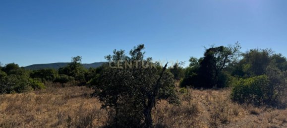 Terreno en Santa Catarina da Fonte do Bispo, Portugal 10320 m² No. 38586 12