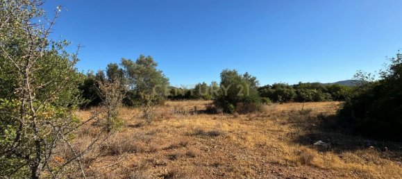 Terreno en Santa Catarina da Fonte do Bispo, Portugal 10320 m² No. 38586 6