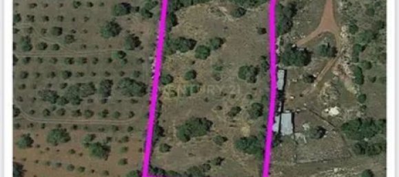 Terreno en Santa Catarina da Fonte do Bispo, Portugal 10320 m² No. 38586 15