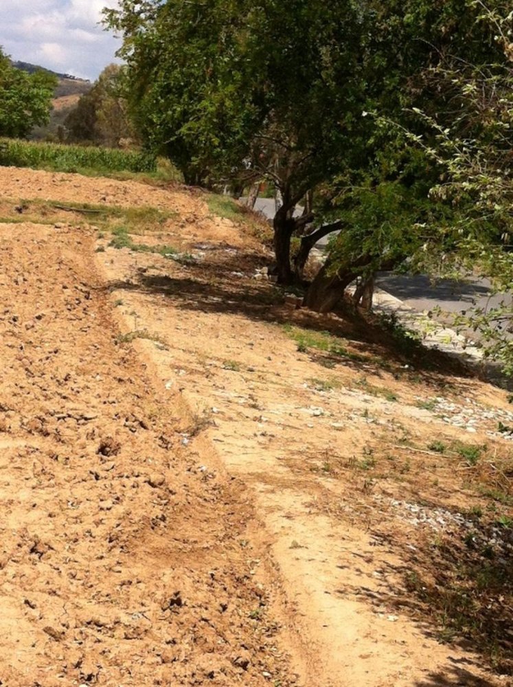  Land in Tonatico, Mexico No. 206726