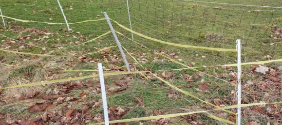 6غرفة منزل في Hof, Germany رقم 119887 12