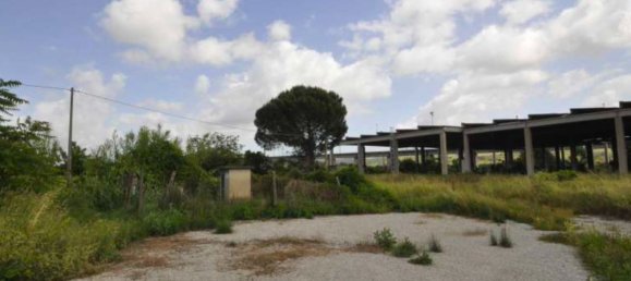 10062m² Warehouse in Castel Viscardo, Italy No. 261570 7