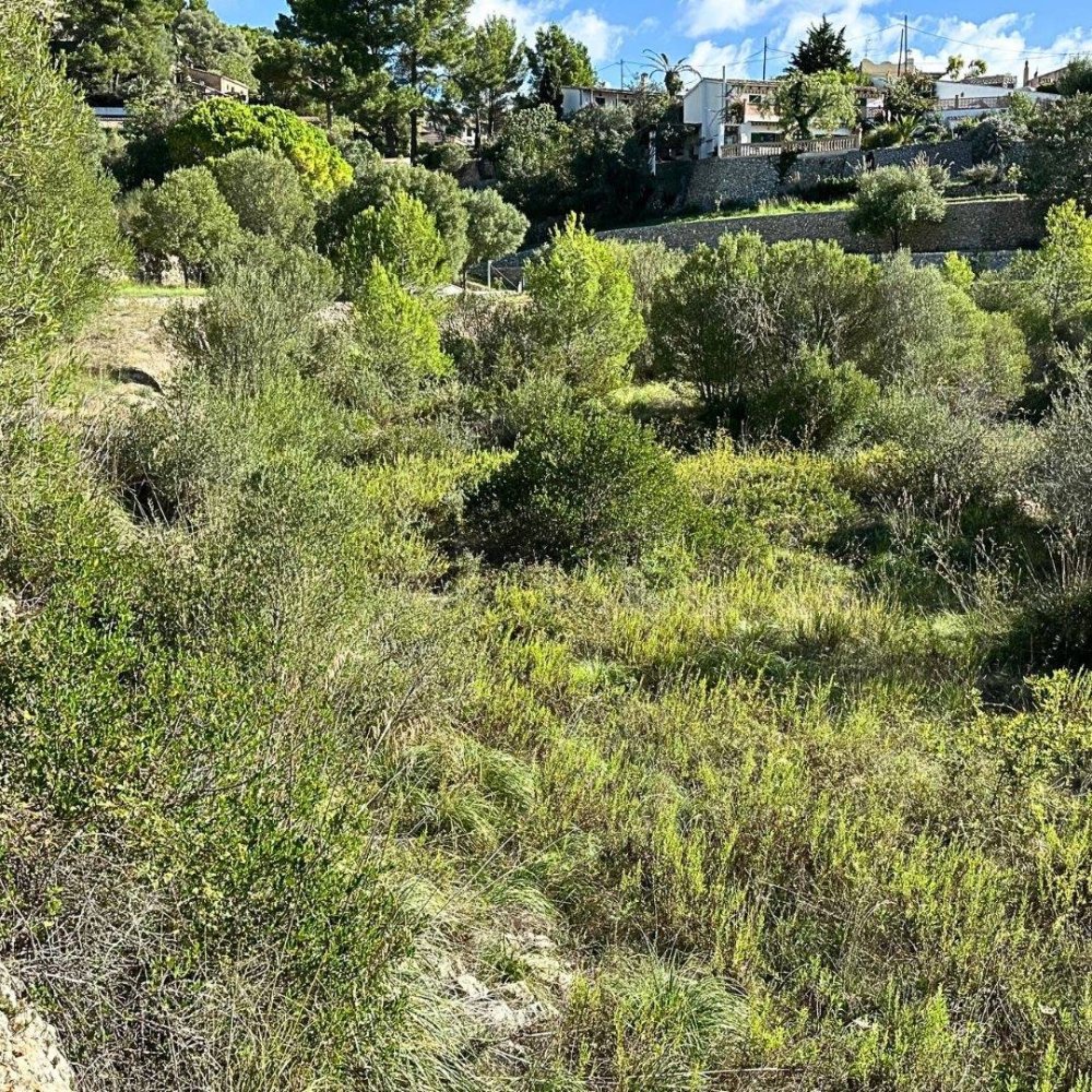 Terreno en Mallorca, Spain No. 151205