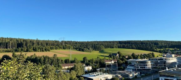 Квартира с 2 спальнями в Шварцвальд-Бар, Германия № 334078 18