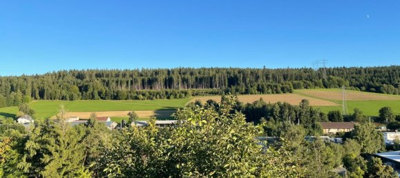 Квартира с 2 спальнями в Шварцвальд-Бар, Германия № 334078 17