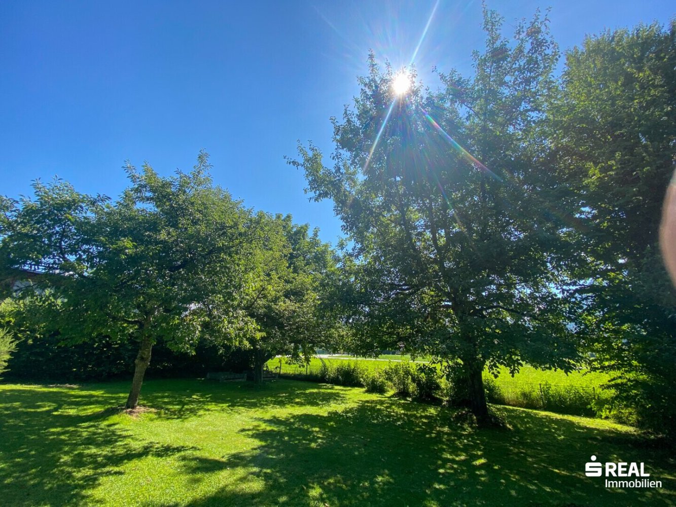  Land in Feldkirch, Austria No. 213848