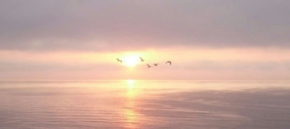 Penthouse T3 em Fuengirola, Spain N.º 148022 47