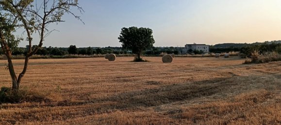 5-salle Maison à Alberobello, Italy No. 290633 4