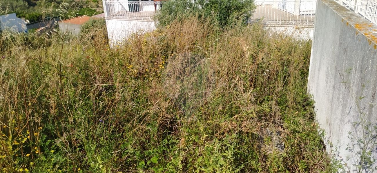 Terreno em Torres Novas, Portugal 1283 m² N.º 78803