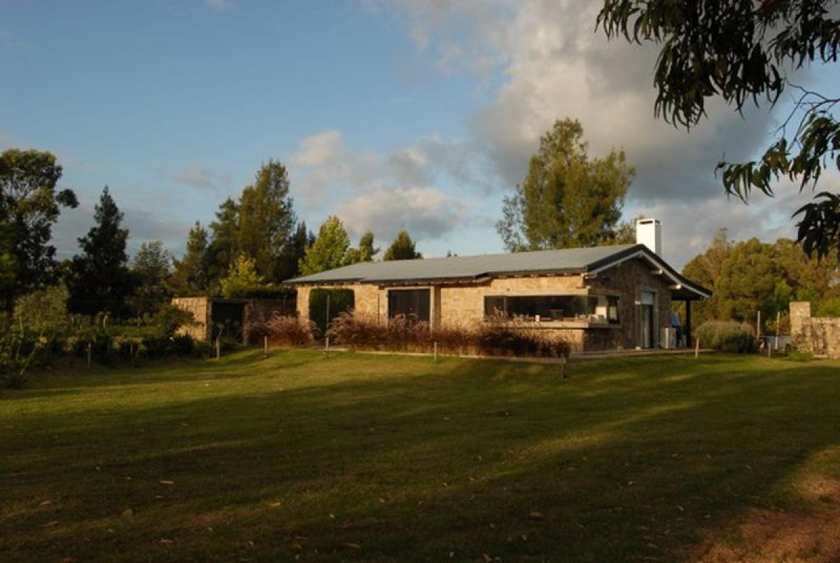  Farm in Maldonado, Uruguay No. 15261