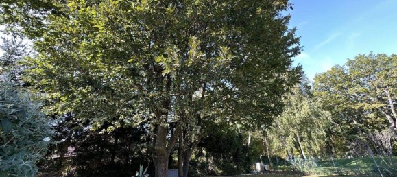 7غرفة منزل في Breitenfurt bei Wien, Austria رقم 246329 9