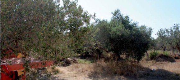 6 rooms Apartment in Trapani, Italy No. 214029 2