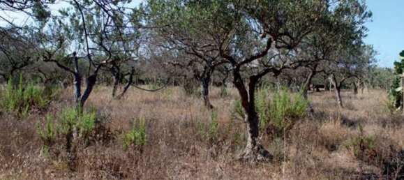 6 rooms Apartment in Trapani, Italy No. 214029 3