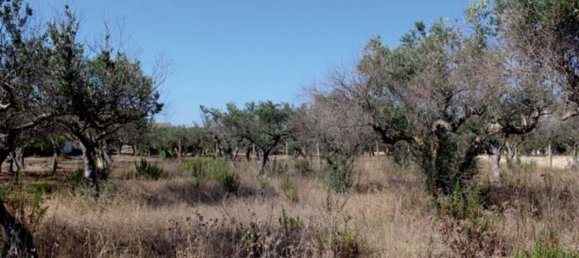 6 rooms Apartment in Trapani, Italy No. 214029 5