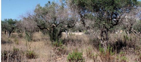 6 rooms Apartment in Trapani, Italy No. 214029 4