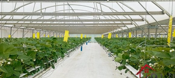 Casa T3 em Vittel, France N.º 62529 10