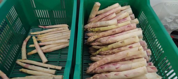 Casa T3 em Vittel, France N.º 62529 21