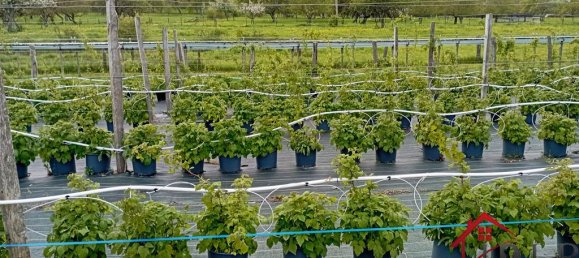 Casa T3 em Vittel, France N.º 62529 18