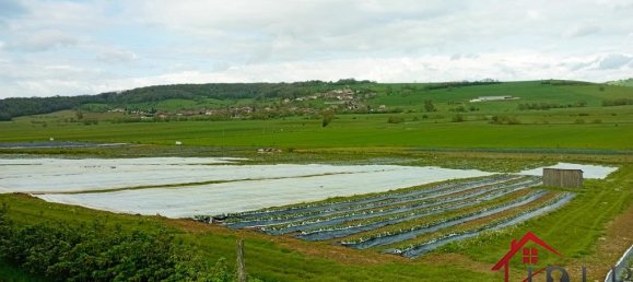 Casa T3 em Vittel, France N.º 62529 11