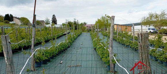 Casa T3 em Vittel, France N.º 62529 28