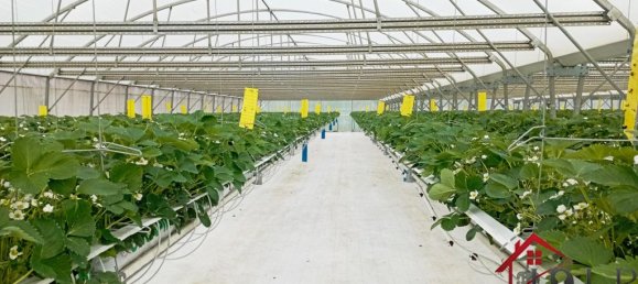 Casa T3 em Vittel, France N.º 62529 4